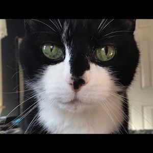 Meet your Posher, Darlene